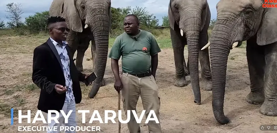 Harry Taruva on location with elephants in a Kwedu Classics production